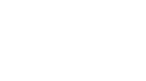 牛耳标
